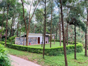 Hilltop Đại Lải H230 Villa